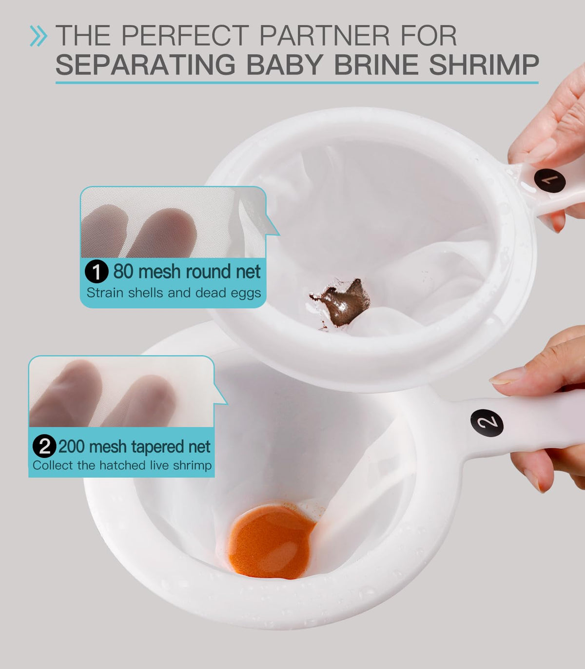 Baby Brine Shrimp net Sieve 80 Mesh 200 Mesh kit for Brine Shrimp Hatchery
