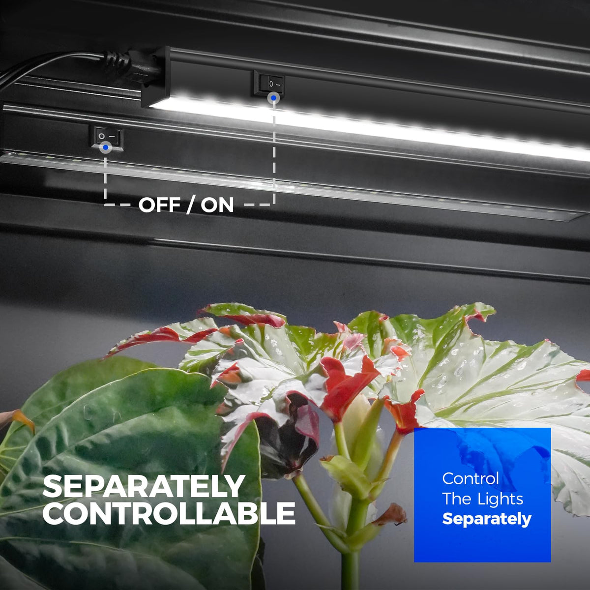 Barrina T5 Grow Lights for Indoor Plants, Full Spectrum, 1ft 5000K, 4 Packs