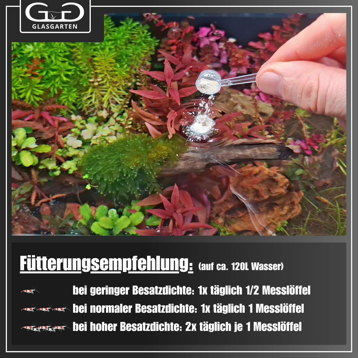 Glasgarten Bacter AE 140G Biofilm Micro Powder/Water Additive for Freshwater Shrimp Aquarium