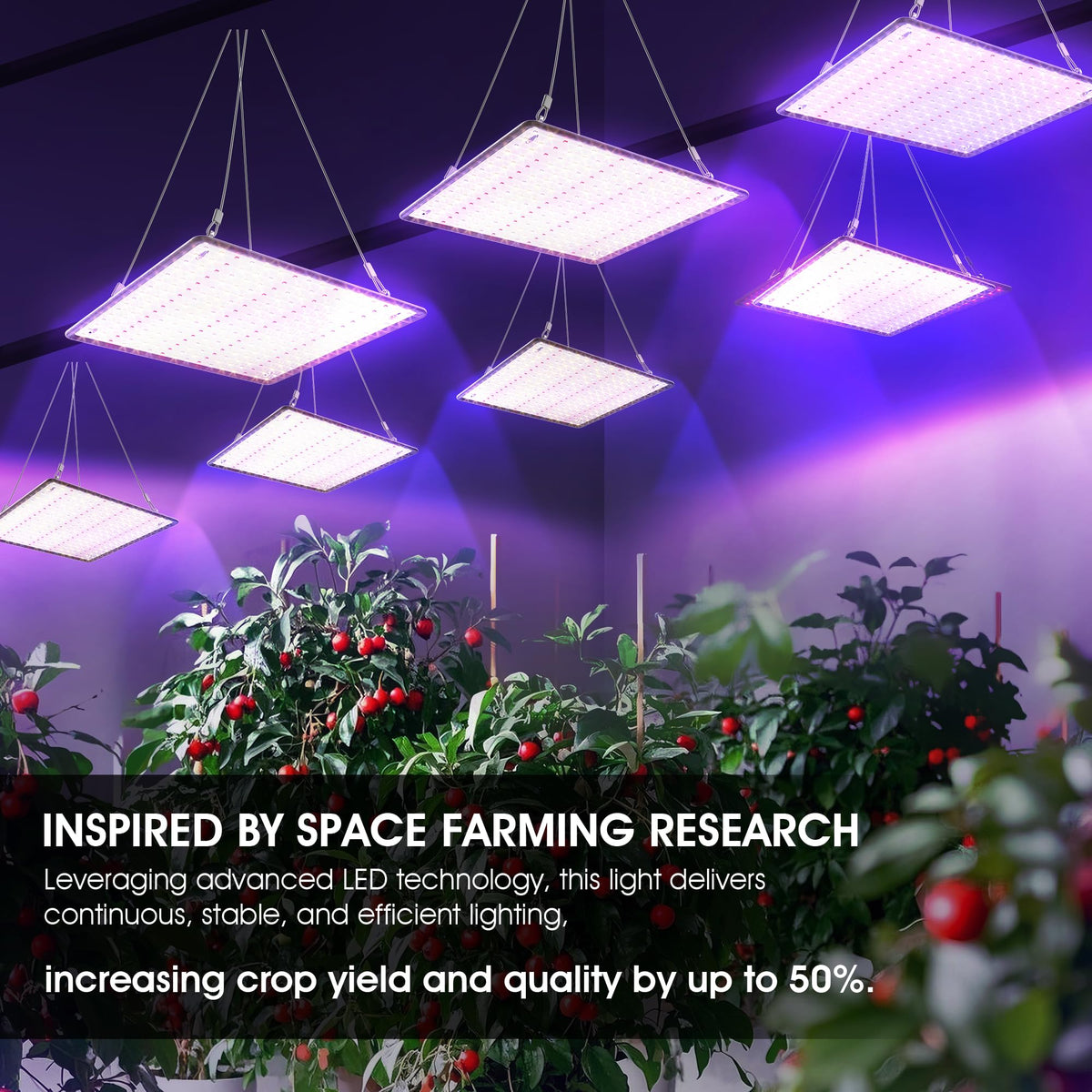 Yescom 2 Pack LED Grow Light