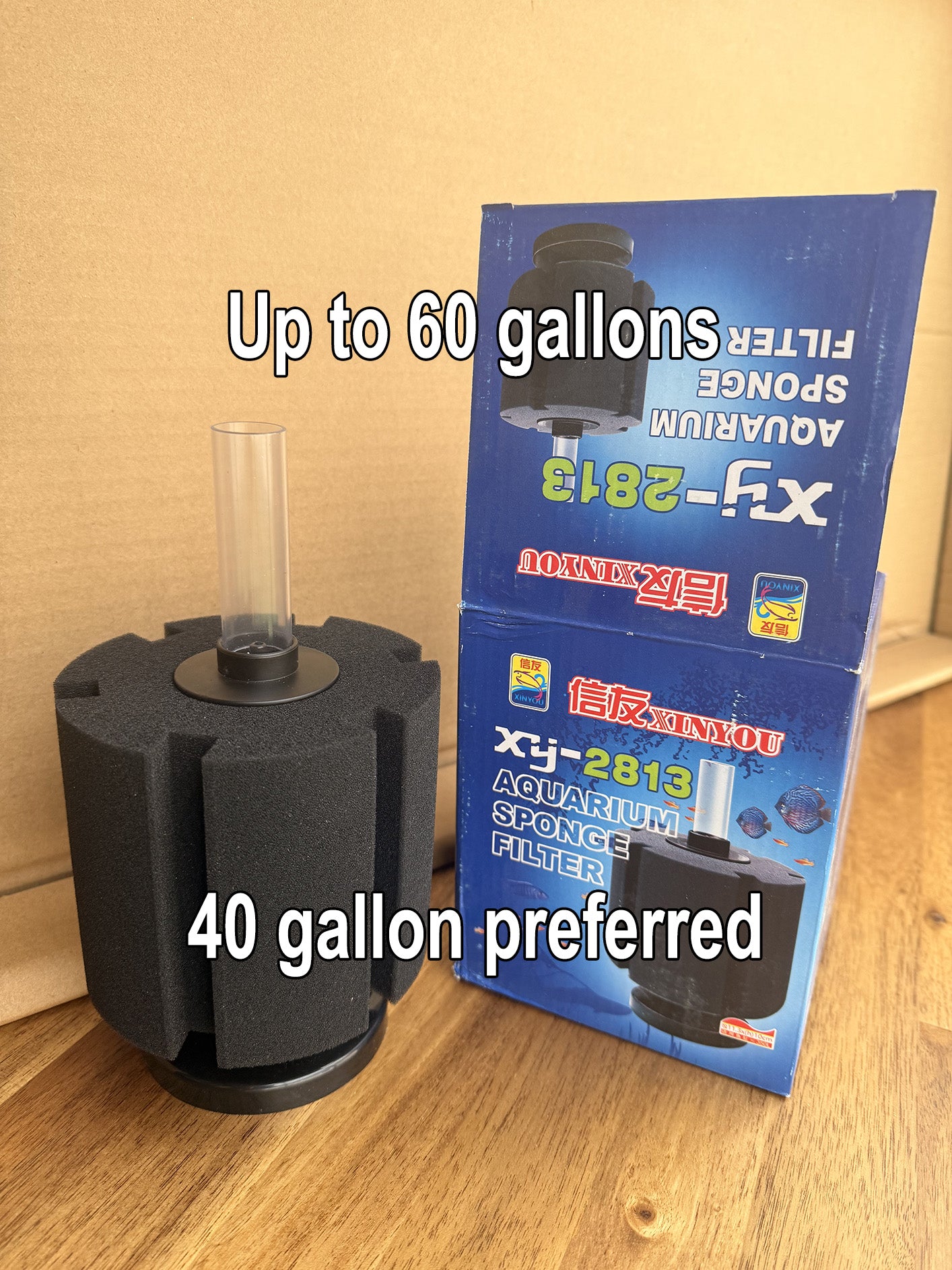 Sponge Filter