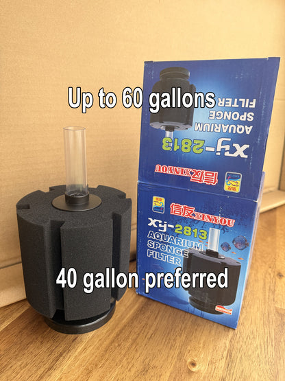 Sponge Filter