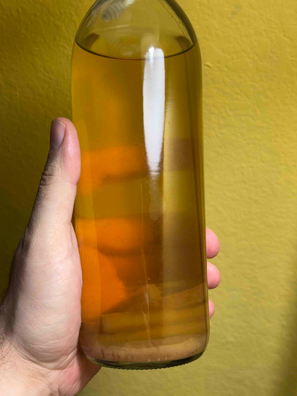 Vinegar Eels