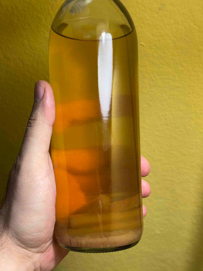 Vinegar Eels