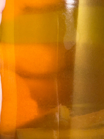 Vinegar Eels