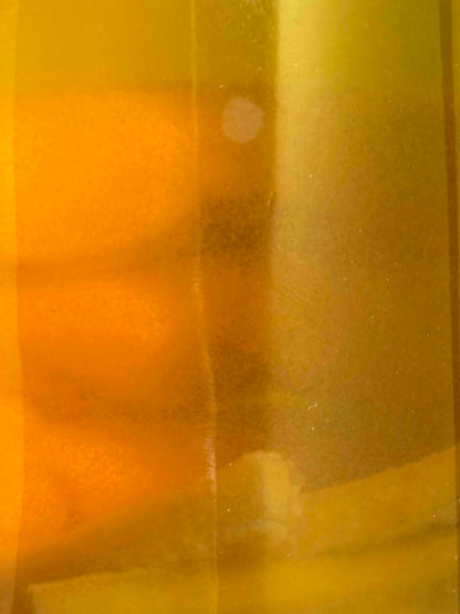 Vinegar Eels