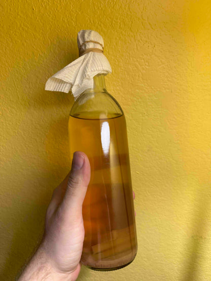 Vinegar Eels