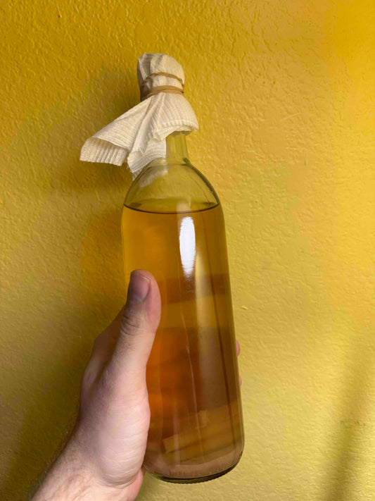 Vinegar Eels