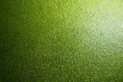 Duckweed (lemna minor)